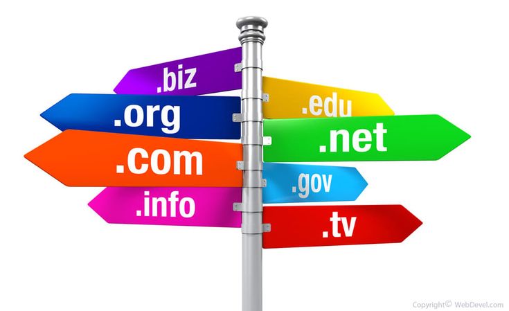 harga jasa pebuatan website profesional